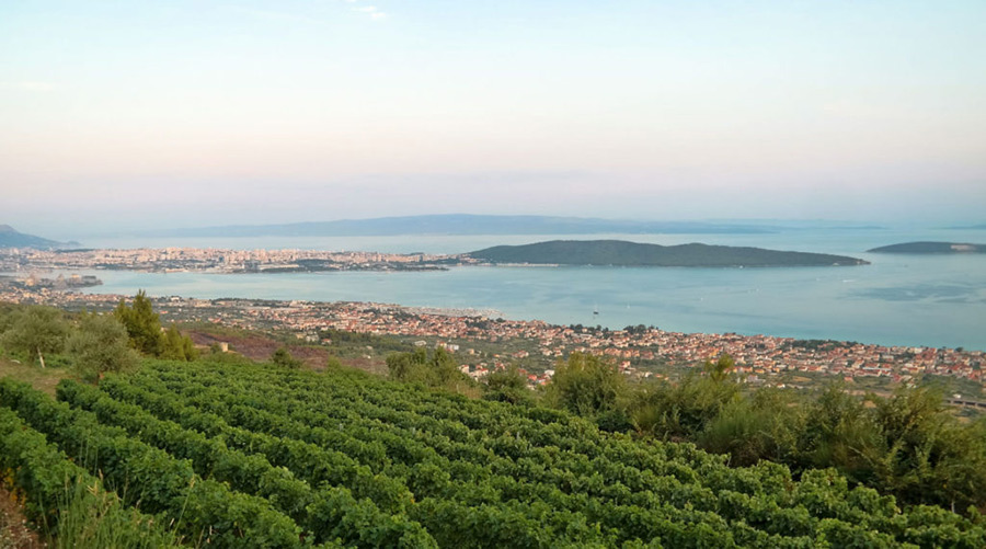 Wine Tasting Tours - Kaštela Croatia