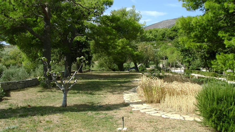 Biblical Garden Stomorija